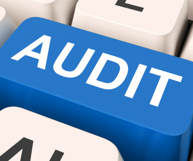 Microsoft software audit